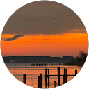 B SHYMANSKY profile picture